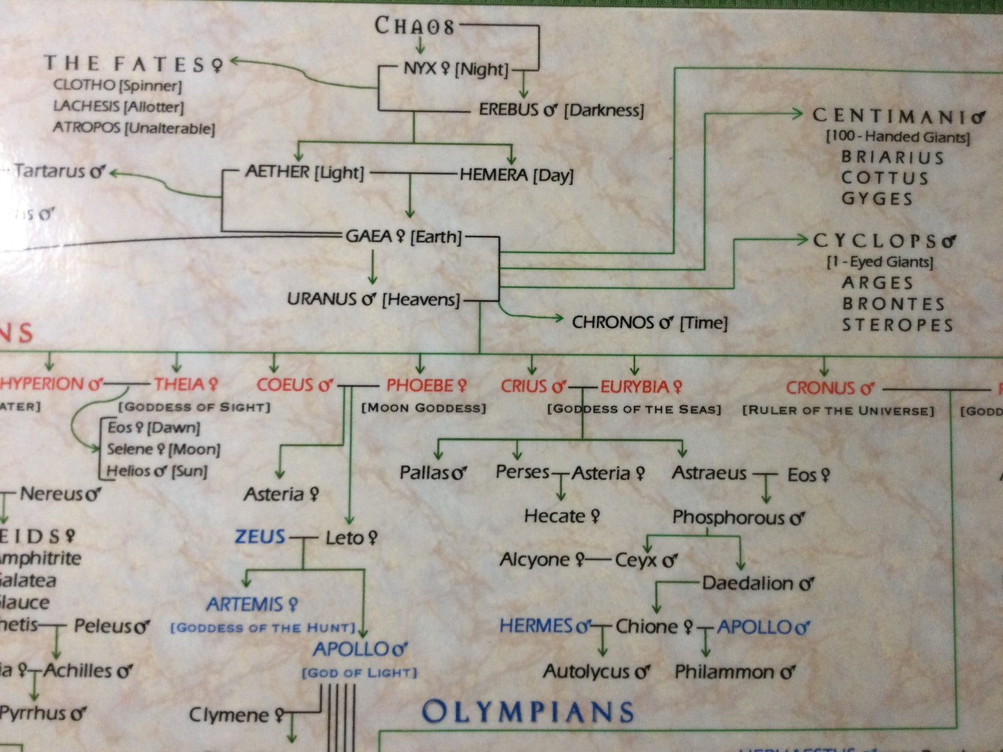 Family Tree of Greek Mythology Pedigree Poster