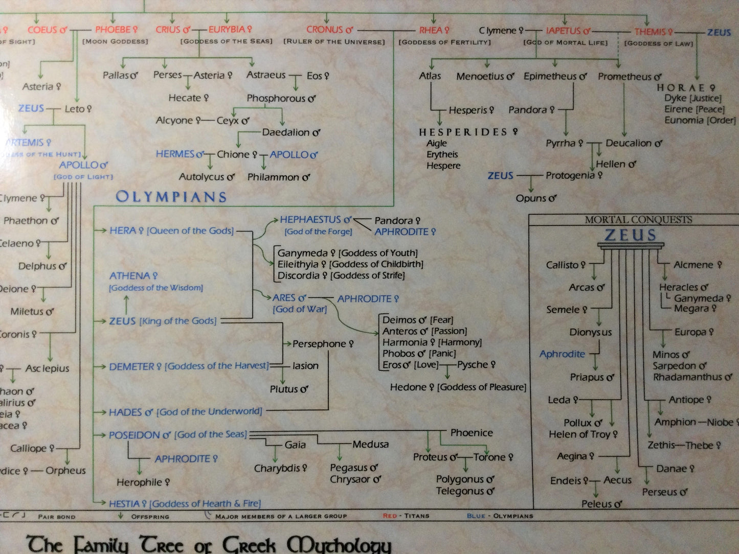 Family Tree of Greek Mythology Pedigree Poster