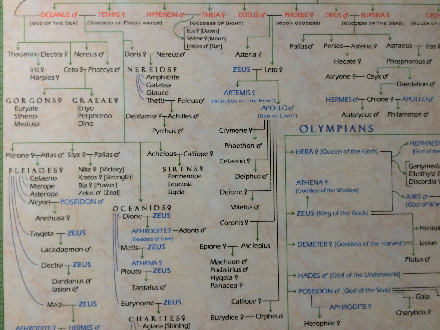 Family Tree of Greek Mythology Pedigree Poster