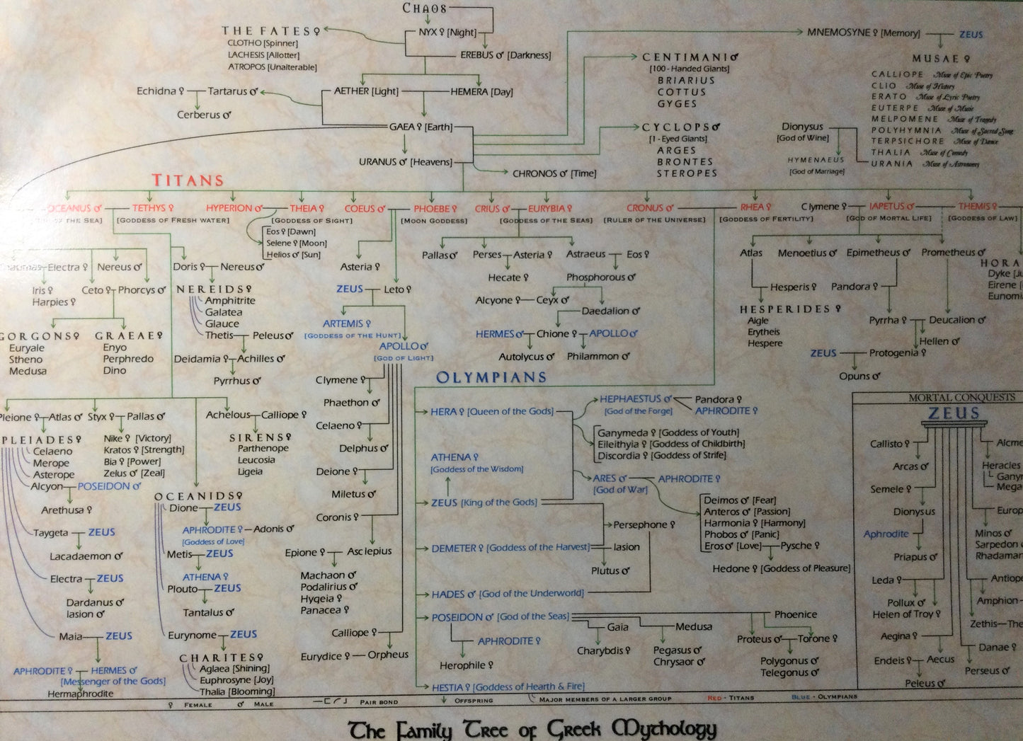 Family Tree of Greek Mythology Pedigree Poster