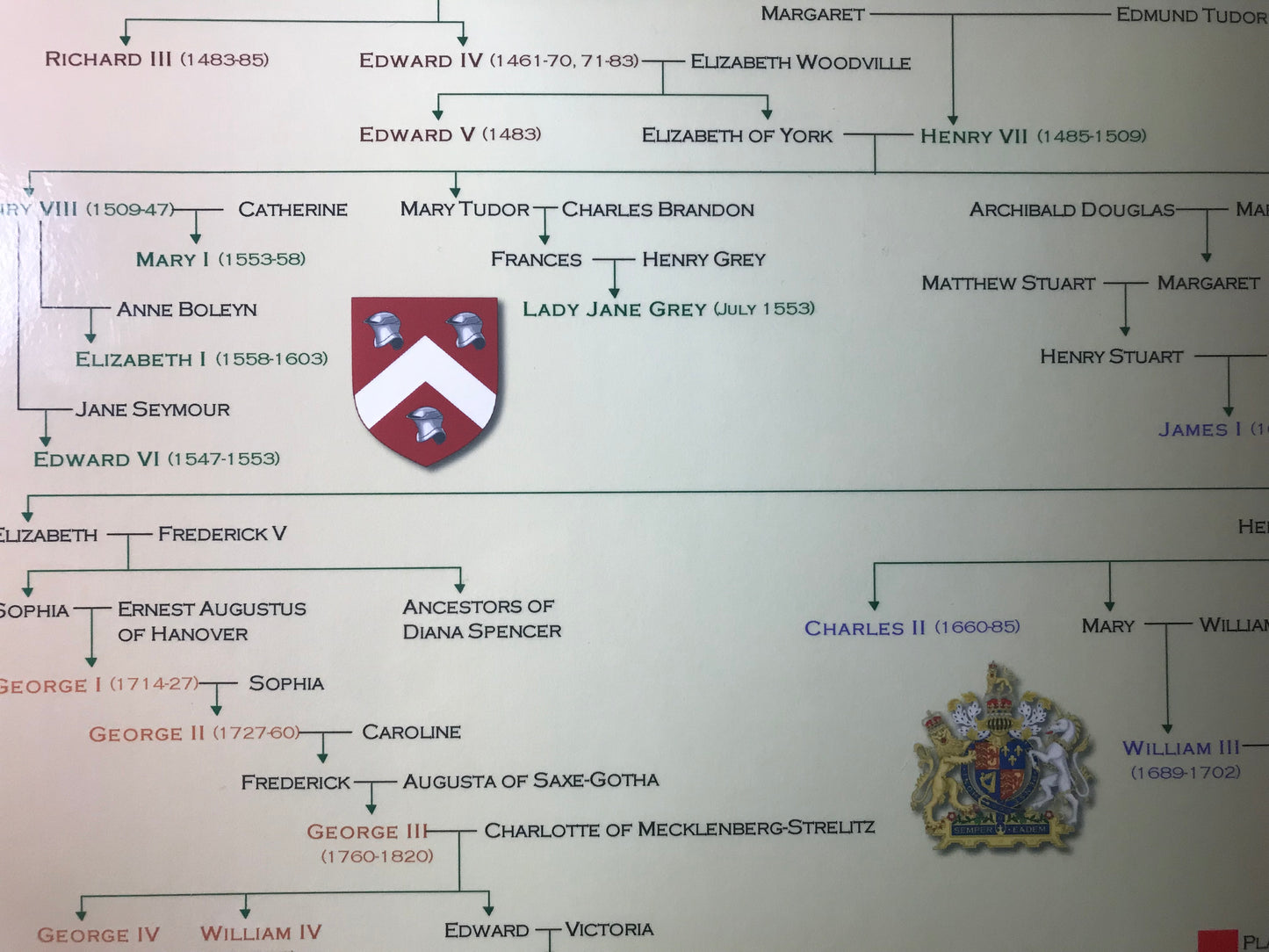 Family Tree of The British Monarchy Pedigree Poster